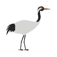 Japanese crane  illustration vector