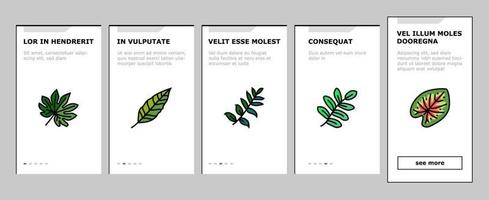 palm leaf summer plant green onboarding icons set vector
