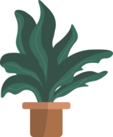 Green plants in pots. png