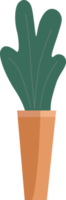 Plants in potted. png