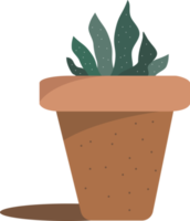 plante de cactus, icône de cactus. png