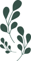 Green leaves, minimal style. png