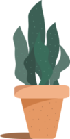 cactus plant, cactus icon. png