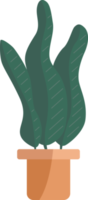 Plants in potted. png