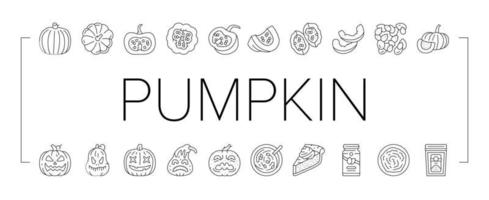 pumpkin halloween autumn orange icons set vector