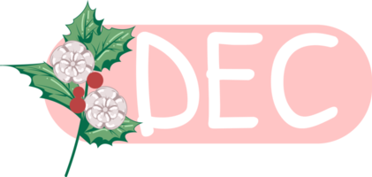 december month name with holly birth flower element png