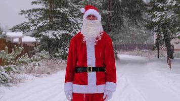 santa claus är har roligt och rolig dans, visar akrobatisk knep, element av stridande och rolig Hoppar utomhus- i vinter- på en snöig väg med tall träd. fira jul och ny år. video