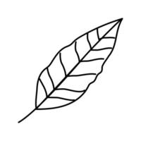 stelizia tropical leaf line icon vector illustration