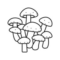shiitake mushroom line icon vector illustration
