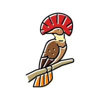 royal flycatcher pájaro exótico color icono vector ilustración