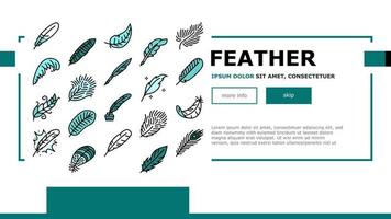 feather bird soft quil fluffy landing header vector