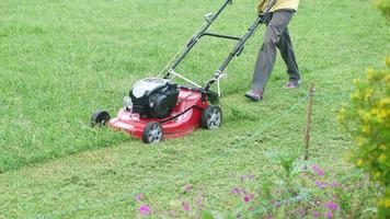Mowing, grass cutting with a cart video