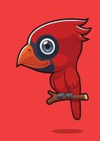 lindo pájaro cardenal vector