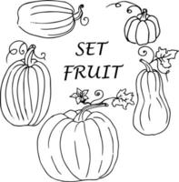 plantas frutas verduras cosecha. un menú para el vegetariano. ilustración de garabato vector