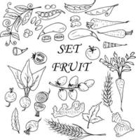 Plants Fruits Vegetables Harvest. A menu for the vegetarian. Doodle illustration. vector