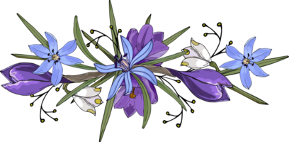 Floral ornament spring, doodle hand drawn, PNG. Crocus, branch, snowdrops. png