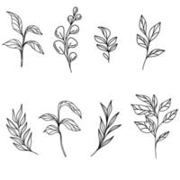 Doodle plants vector