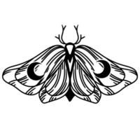 símbolos mágicos de polilla mariposa vector