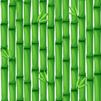 textura de bambu verde sem costura. padrão sem costura de bambu png