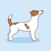 Vector cartoon illustration of a Jack Russell terrier. The dog is standing sideways with head raised, Isolated on a blue background. Pets, animals, dog theme - a design element in a flat style.