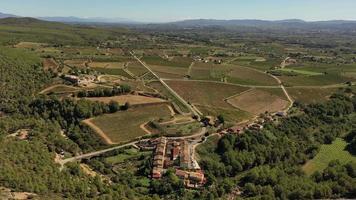 Vineyards in the Penedes area video