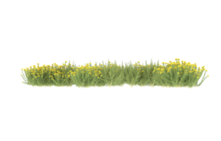 Realistic foliage isolated on transparent background. 3d rendering - illustration png