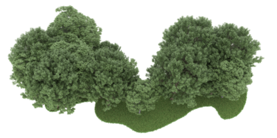 forêt réaliste isolée sur fond transparent. rendu 3d - illustration png