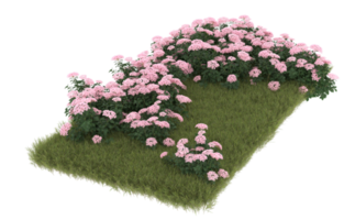 Realistic foliage isolated on transparent background. 3d rendering - illustration png