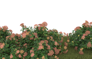Realistic foliage isolated on transparent background. 3d rendering - illustration png