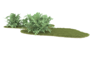 Realistic foliage isolated on transparent background. 3d rendering - illustration png