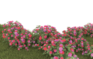Realistic foliage isolated on transparent background. 3d rendering - illustration png