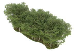 Realistic forest isolated on transparent background. 3d rendering - illustration png