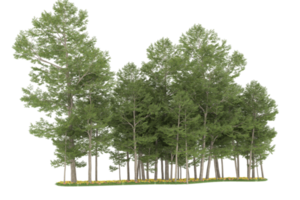 Realistic forest isolated on transparent background. 3d rendering - illustration png