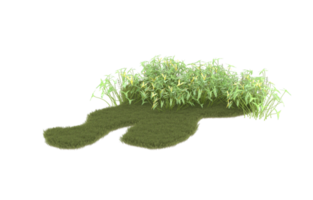 Realistic foliage isolated on transparent background. 3d rendering - illustration png