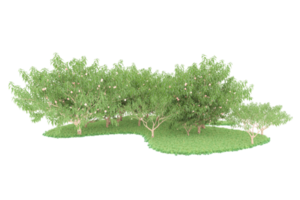 realistico foresta isolato su trasparente sfondo. 3d interpretazione - illustrazione png