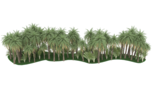 Palm trees isolated on transparent background. 3d rendering - illustration png