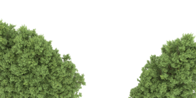 forêt réaliste isolée sur fond transparent. rendu 3d - illustration png