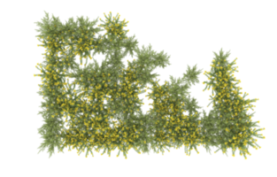 realistico fogliame isolato su trasparente sfondo. 3d interpretazione - illustrazione png