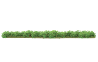 Realistic foliage isolated on transparent background. 3d rendering - illustration png