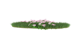 Realistic foliage isolated on transparent background. 3d rendering - illustration png