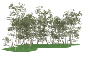 Realistic forest isolated on transparent background. 3d rendering - illustration png