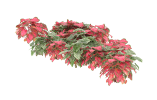 Realistic foliage isolated on transparent background. 3d rendering - illustration png