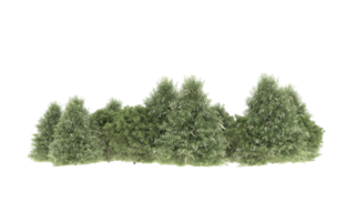 Realistic foliage isolated on transparent background. 3d rendering - illustration png