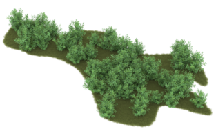 Realistic foliage isolated on transparent background. 3d rendering - illustration png