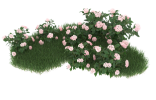 Realistic foliage isolated on transparent background. 3d rendering - illustration png