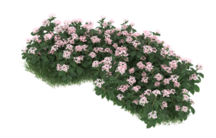 Realistic foliage isolated on transparent background. 3d rendering - illustration png