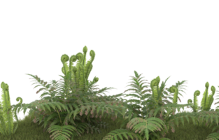 Realistic foliage isolated on transparent background. 3d rendering - illustration png