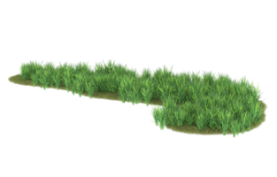 Realistic foliage isolated on transparent background. 3d rendering - illustration png