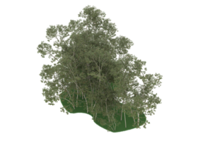 Realistic forest isolated on transparent background. 3d rendering - illustration png