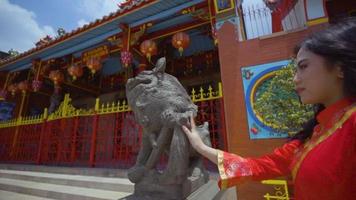 ein junges chinesisches mädchen, das mit einem glücklichen gesicht geht, während es die chinastadt besucht video